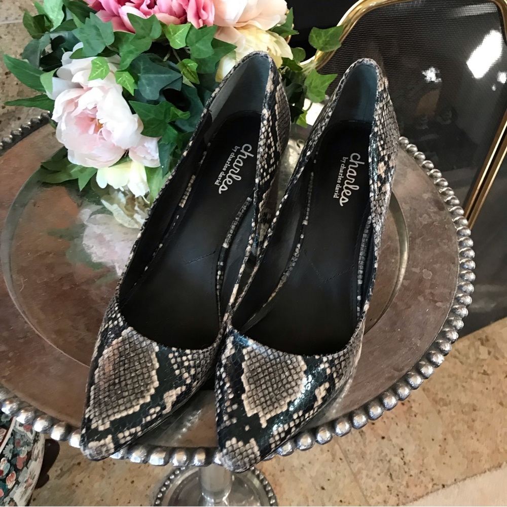 Charles David Vasto Python Pumps 10 - Picture 2 of 6